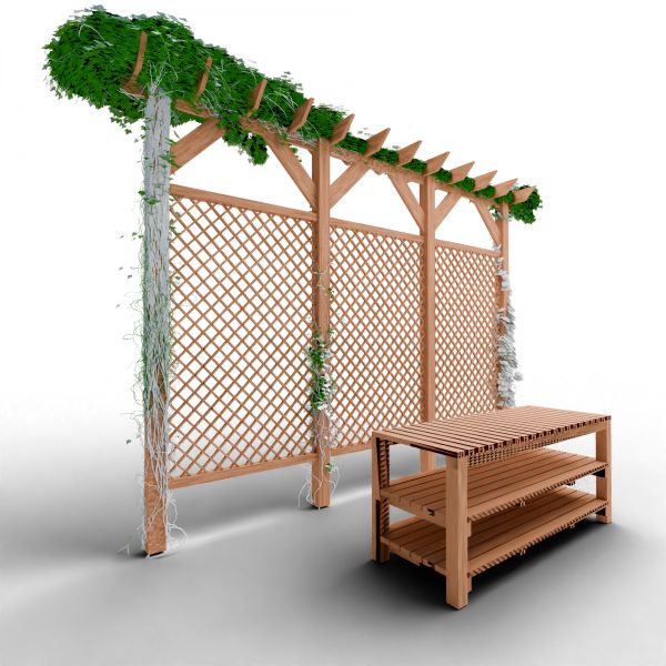 Pergolado Naturalis - Arbor Vitae